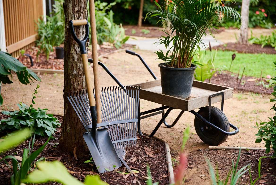 Outdoor and Garden Outdoor and Garden